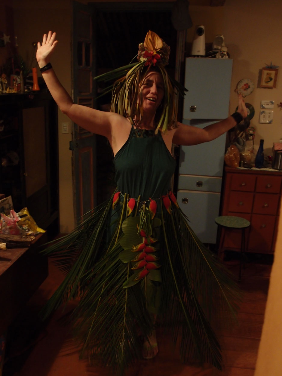 2016-02-08/09 Carneval de Galdi (Foto)